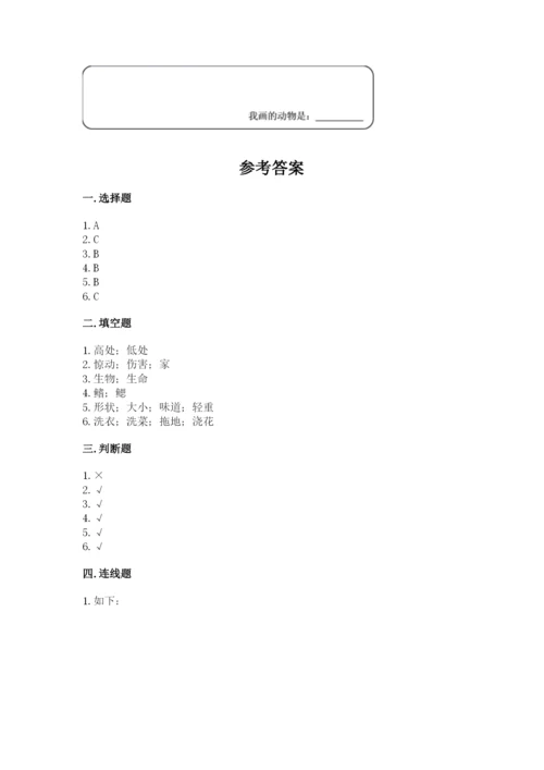 教科版一年级下册科学期末测试卷精品【基础题】.docx