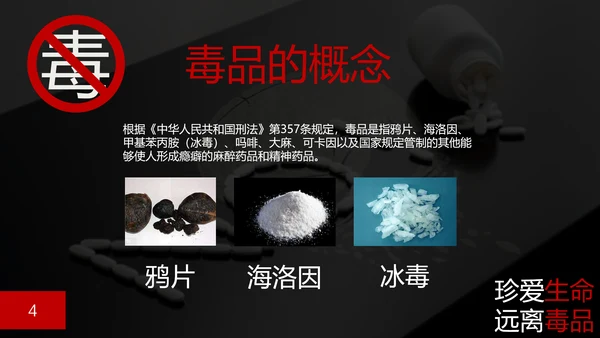 珍爱生命禁毒无毒PPT