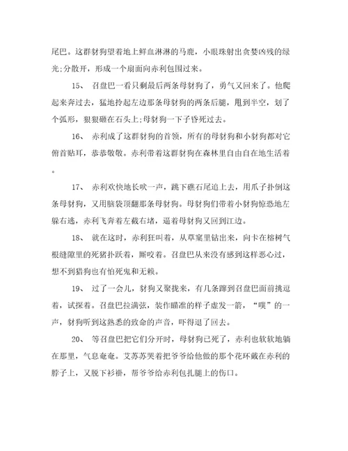 第七条猎狗好词好句摘抄
