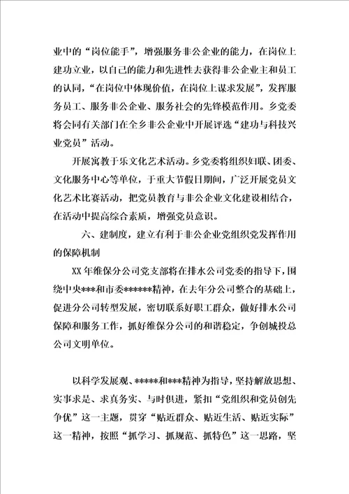 XX年非公企业党支部工作计划