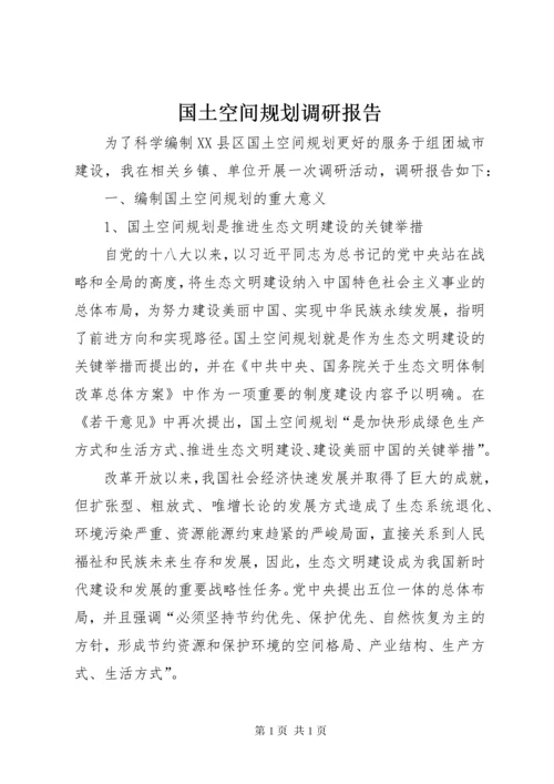 国土空间规划调研报告.docx