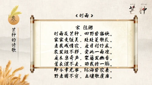 金色麦穗二十四节气之芒种通用PPT模板