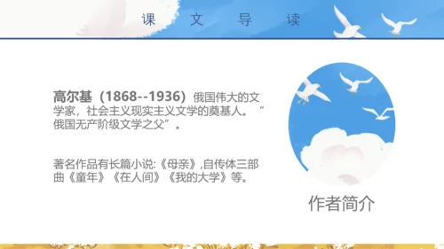 初中教师海天海燕教育教学课件PPT模板