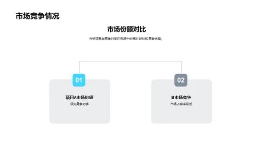 房产项目全方位解析