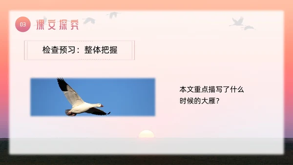 粉色简约八年级语文下册大雁归来PPT模板宣传PPT动态PP