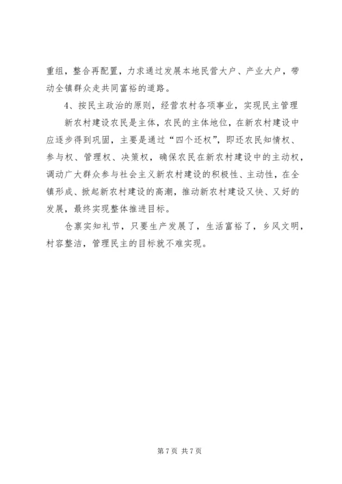 乡镇新农村建设调研报告.docx