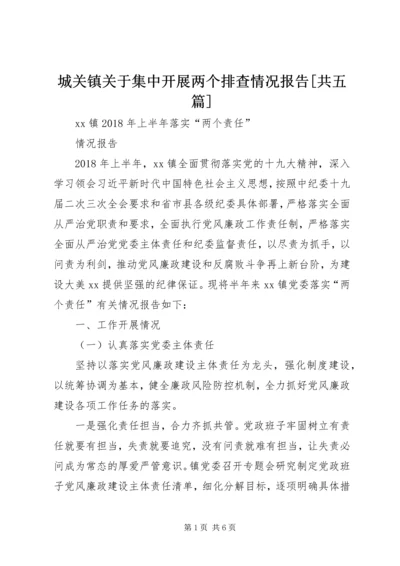 城关镇关于集中开展两个排查情况报告[共五篇] (4).docx