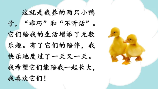 -统编版2024-2025学年三年级语文上册同步精品习作：我们眼中的缤纷世界 课件