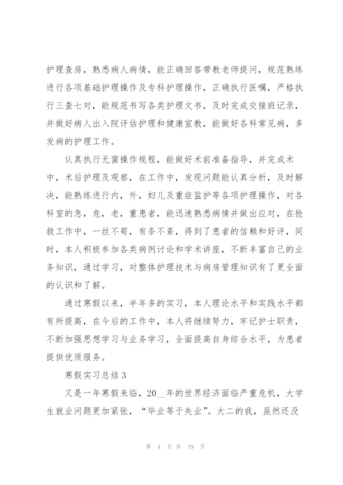 寒假实习总结10篇.docx