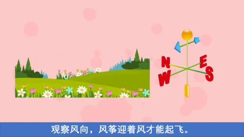 习作：看图画，写一写