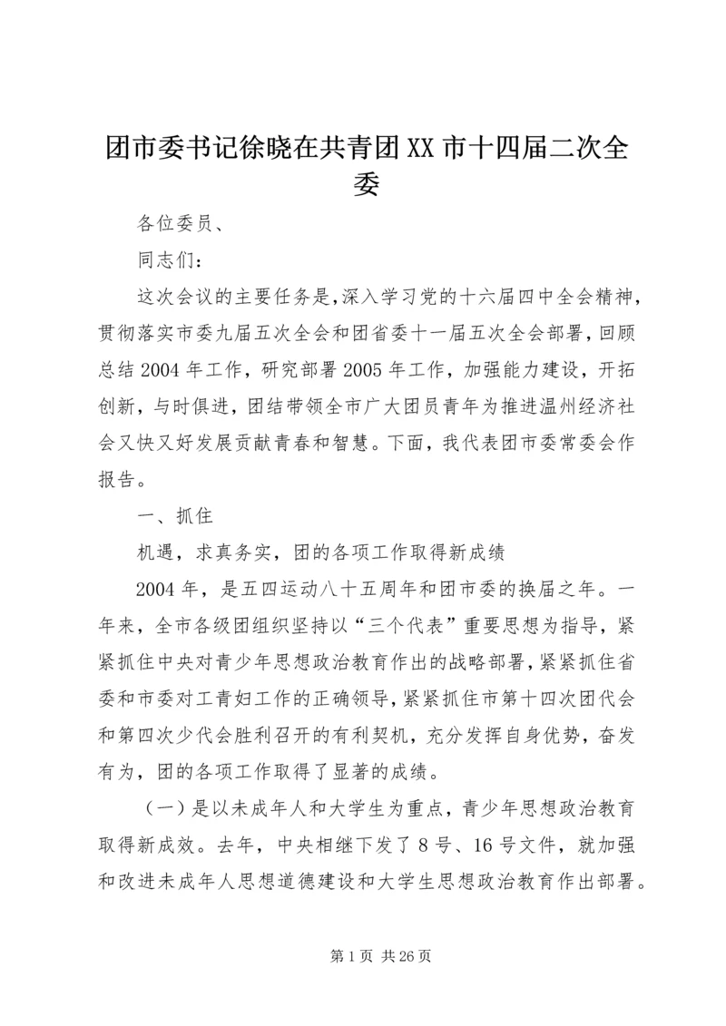 团市委书记徐晓在共青团XX市十四届二次全委.docx