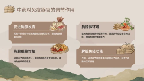 浅棕色中国风中医药对免疫系统调节PPT