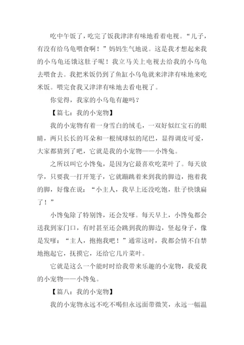 我的小宠物作文200字.docx
