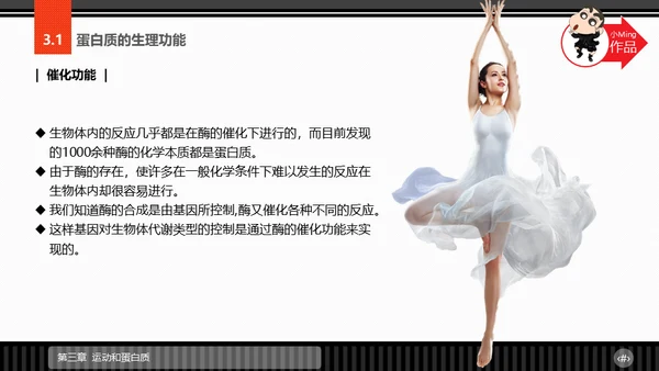 运动营养学通用PPT模板
