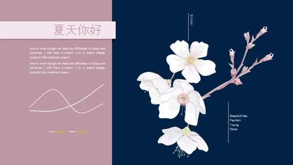 你好夏天女性白领工作总结通用PPT模板