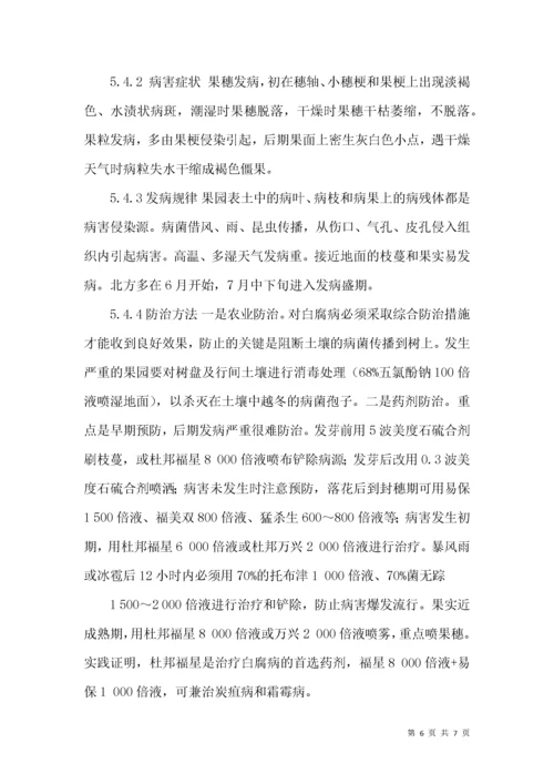 克瑞森无核葡萄优质高效栽培关键技术.docx