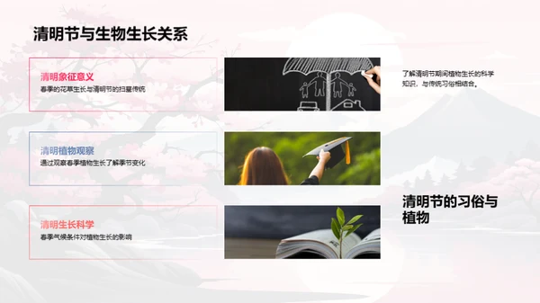 清明节的生态科学