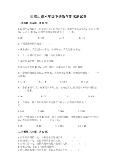 武夷山市六年级下册数学期末测试卷有答案.docx