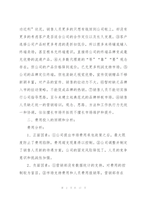 营销总监个人工作总结5篇.docx