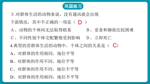 5.2.3社会行为课件-人教版生物八年级上册