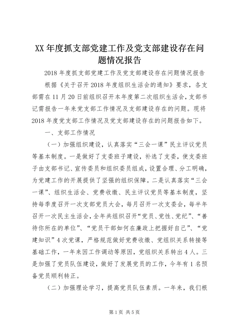 XX年度抓支部党建工作及党支部建设存在问题情况报告.docx