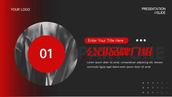 暗调红色行业品牌加盟PPT模板