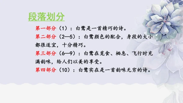 《1 白鹭》课件