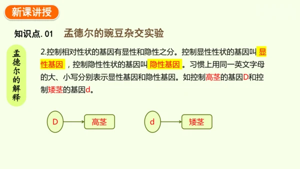 7.2.3基因的显性和隐性-八年级生物人教版下学期同步精品课件(共36张PPT)