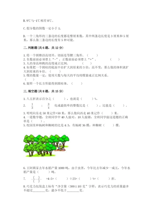 西畴县六年级下册数学期末测试卷完整答案.docx