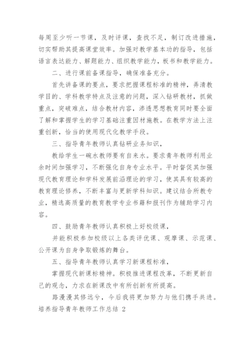 培养指导青年教师工作总结_6.docx