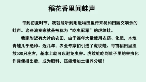 10.《我们所了解的环境污染》（第二课时）  课件