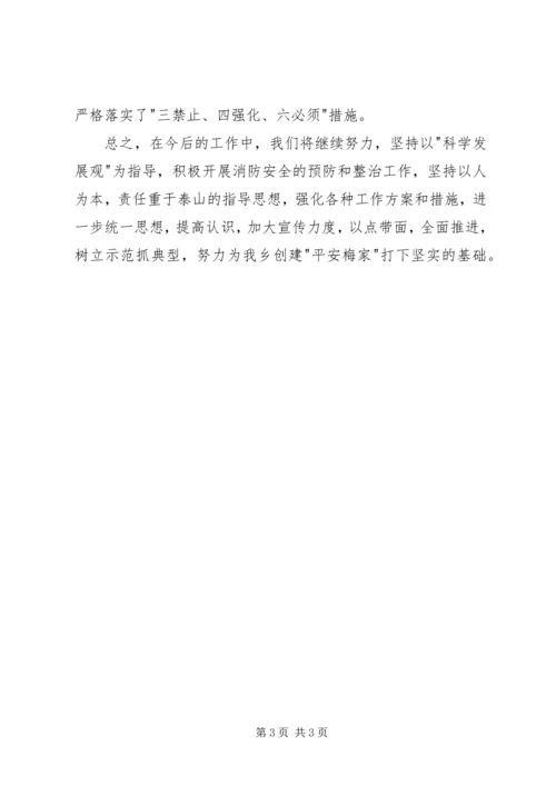 乡镇消防安全大排查行动工作总结.docx