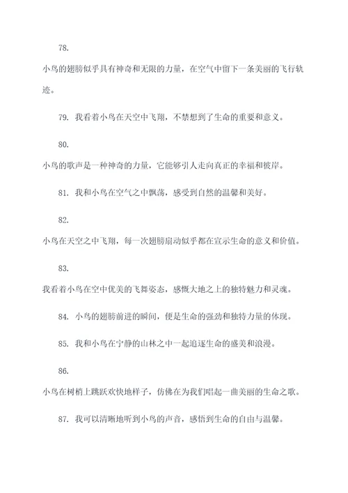我和小鸟作文好词好句