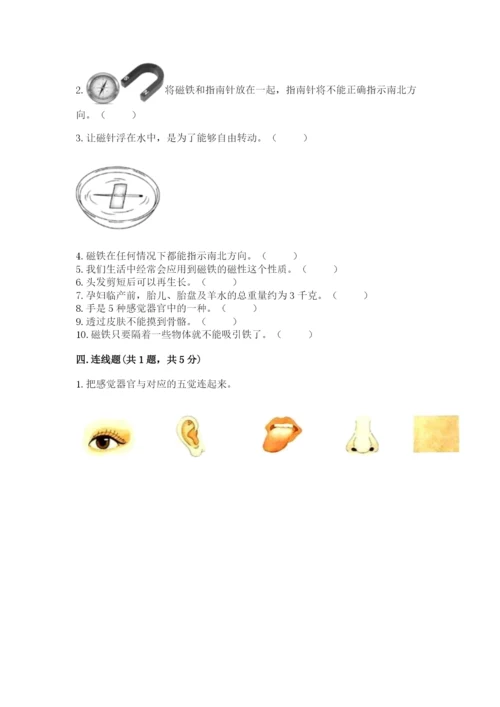 教科版二年级下册科学知识点期末测试卷（培优a卷）.docx