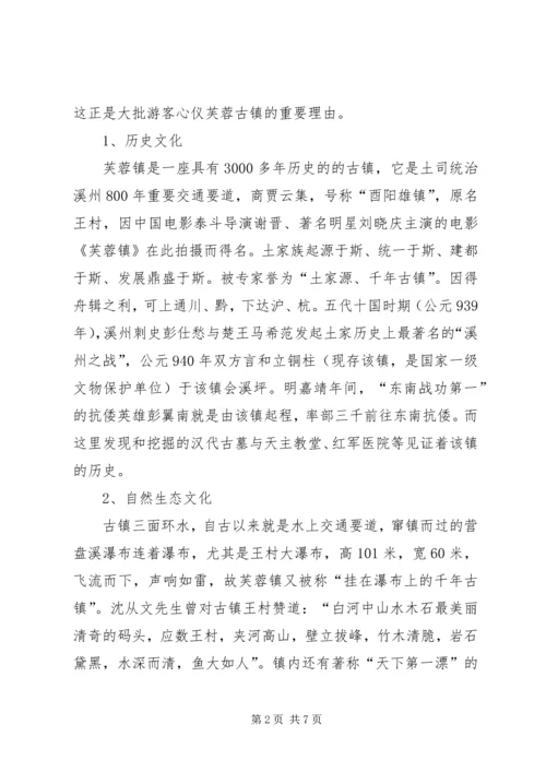 发展民族文化旅游调查研究报告.docx