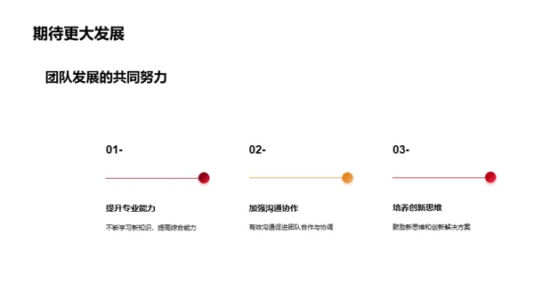 团队年度回顾与展望