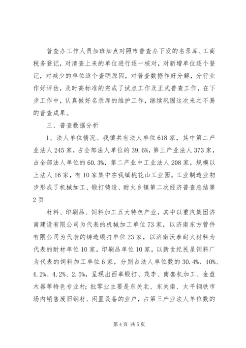 乡镇第二次经济普查总结.docx