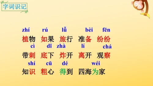 3 植物妈妈有办法  课件