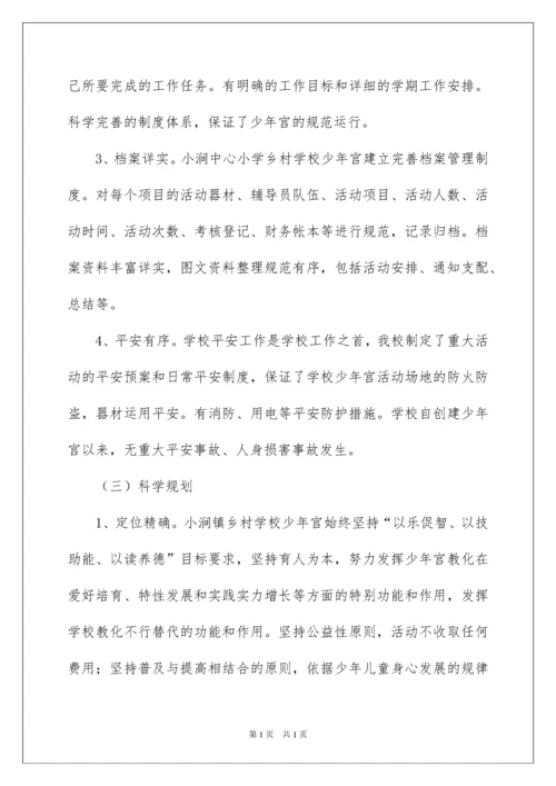 2022乡村学校少年宫活动自查报告.docx