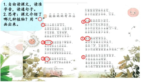 3 植物妈妈有办法 第二课时  课件