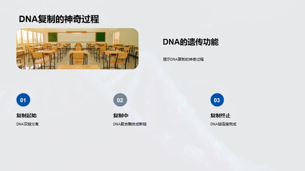 揭秘DNA：生命之源