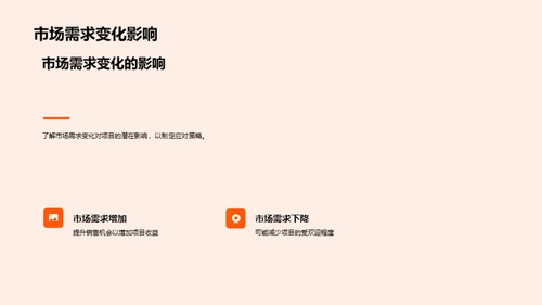 项目投资策略解析