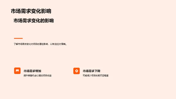 项目投资策略解析