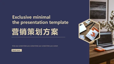 营销策划方案通用PPT模板