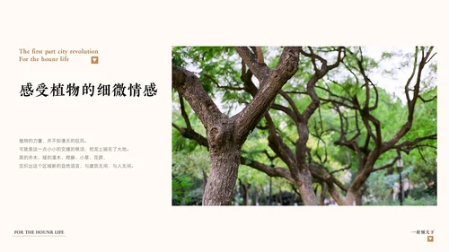 中式豪宅房地产策划案通用PPT模板