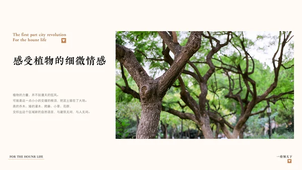 中式豪宅房地产策划案通用PPT模板