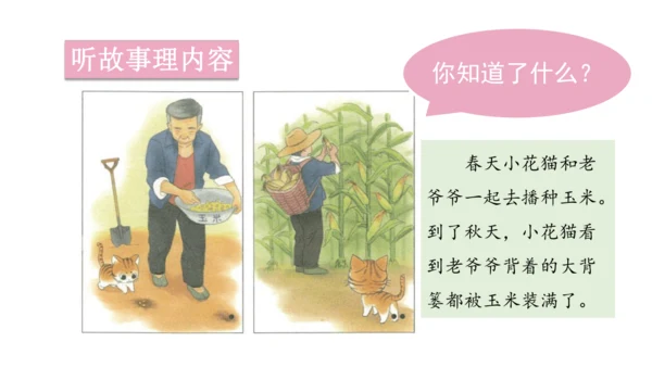 2025年春统编版一年级语文下册  口语交际：听故事，讲故事 授课课件