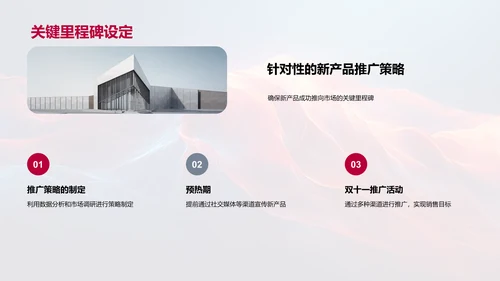 双十一新品推广报告