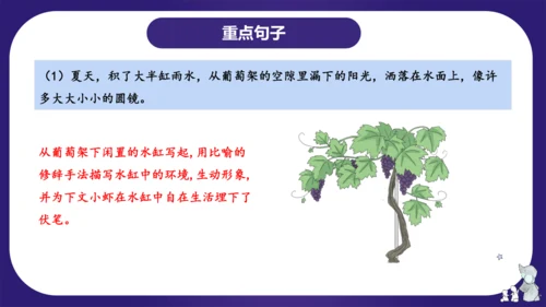 统编版三年级语文下学期期中核心考点集训第四单元（复习课件）