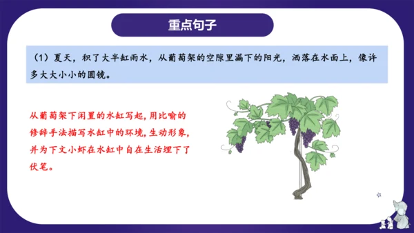 统编版三年级语文下学期期中核心考点集训第四单元（复习课件）